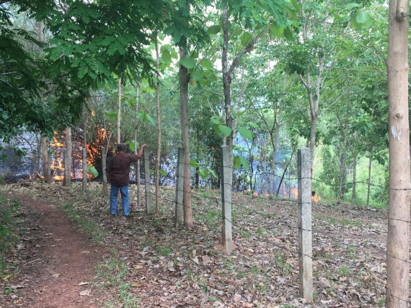 วันที่ 26 พฤษภาคม 2563 เวลา14.00 น. ได้รับแจ้งมีเหตุเพลิงไหม้ บริเวนพื้นที่หมู่ที่ 8 บริเวรป่าชุมชน ต.ศรีถ้อย อ.แม่ใจ หน่วยกู้ชีพ-กู้ภัย ทต.ศรีถ้อย ออกตรวจสอบพบเหตุไฟไหม้ป่าชุมชนใกล้พื้นที่ทำการเกษตรของชาวบ้าน จึงได้ทำการระงับเพลิงไหม้ ขณะนี้เจ้าหน้าที่ยังอยู่ในพื้นที่ ไฟยังไม่สงบ และเวลานี้เพลิงสงบแล้ว (10 ภาพ)