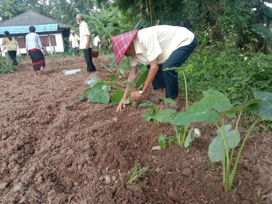ร่วมกับนักเรียนโรงเรียนผู้สูงอายุเทศบาลตำบลศรีถ้อยและสภาเด็กและเยาวชน   จัดกิจกรรมปลูกผักสมุนไพร  ณ ศูนย์พัฒนาคุณภาพชีวิตและส่งเสริมอาชีพผู้สูงอายุ