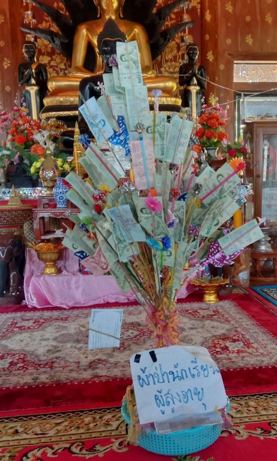 ฝ่ายสวัสดิการสังคม ร่วมกับนักเรียนโรงเรียนผู้สูงอายุเทศบาลตำบลศรีถ้อย ร่วมทอดผ้าป่า ณ วัดพระธาตุจอมก๊อ หมู่ที่ 8