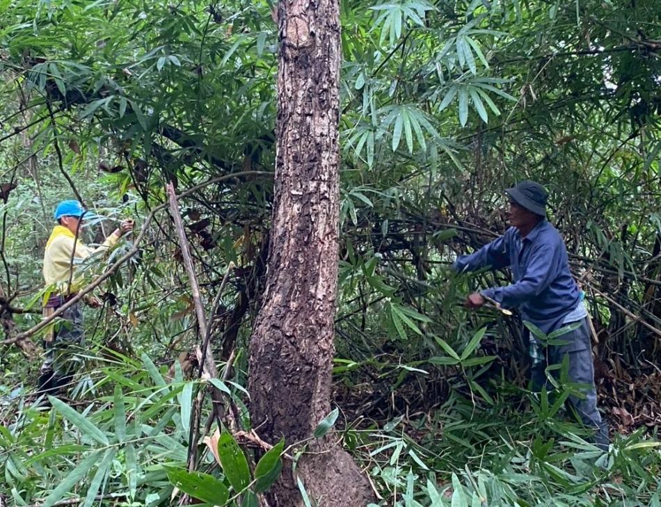 โครงการรักษ์ป่า รักษ์น้ำ รักษ์แผ่นดิน เฉลิมพระเกียรติฯ ประจำปี  2568