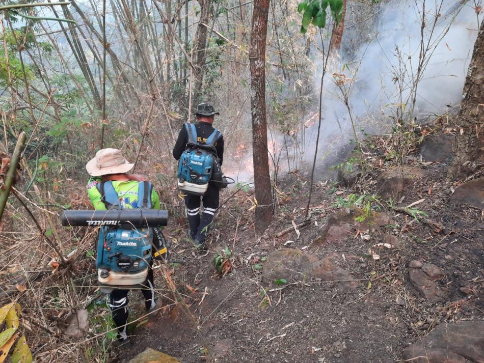 ออกปฏิบัติการ พบไฟป่าลุกลามใกล้เข้าพื้นที่การเกษตรของประชาชนเจ้าหน้าที่ใช้เวลา 1ชั่วโมง จึงสามารถควบคุมไฟไว้ได้เป็นที่เรียบร้อยแล้ว (20 ภาพ)