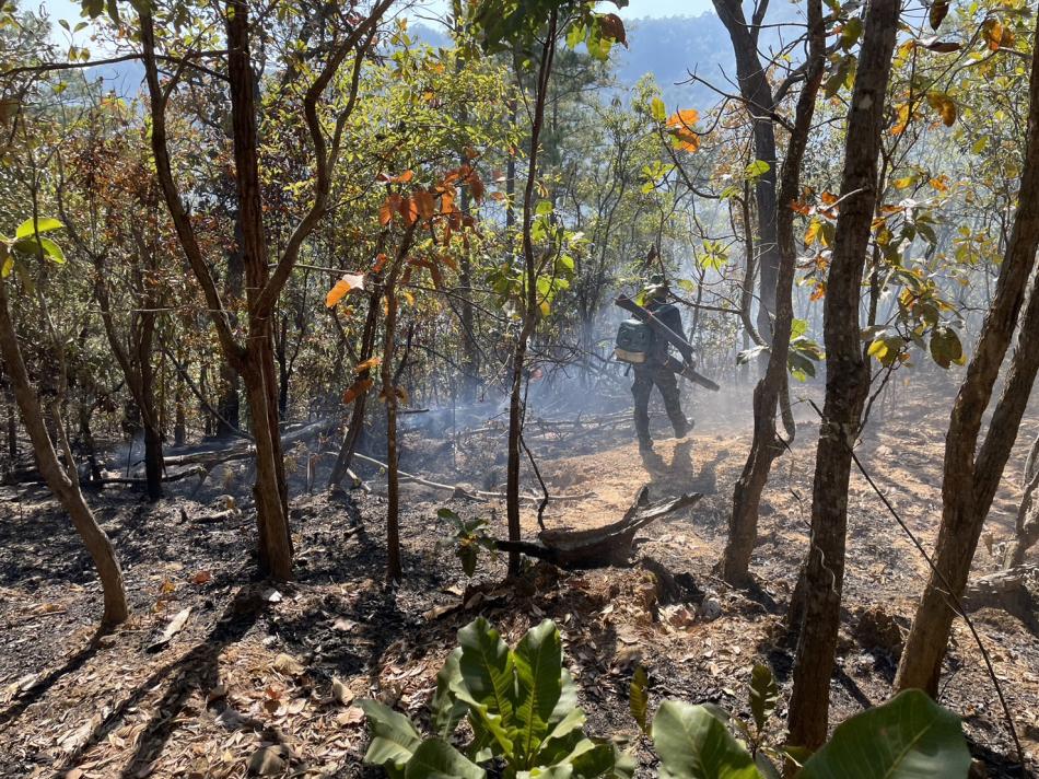 ร่วมกันดับไฟป่า ขั้นต้น ณ เวลานี้ทำแนวกันไฟครับ (17 ภาพ)